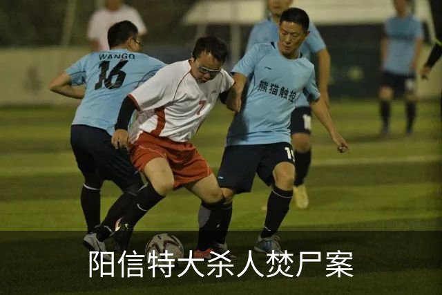 阳信特大杀人焚尸案