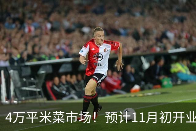 4万平米菜市场！预计11月初开业，还带小吃街。位置在这